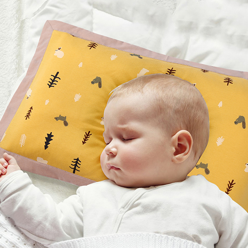 Combed Cotton Buckwheat Pillow